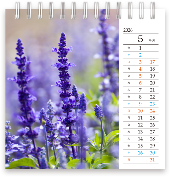 2026年4月始まりスクエア卓上カレンダーテンプレート_02