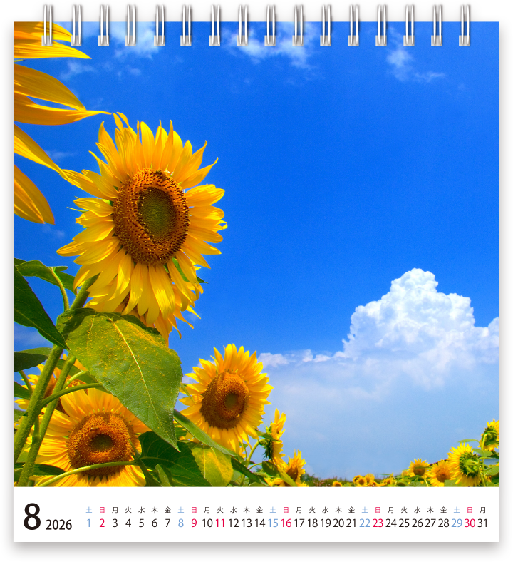 2026年4月始まりA5変型卓上カレンダーテンプレート_01