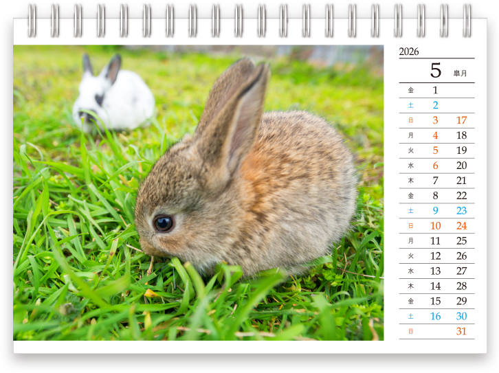 2026年4月始まり卓上カレンダーテンプレート_02