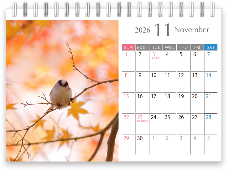 2026年4月始まり卓上カレンダーテンプレート_08