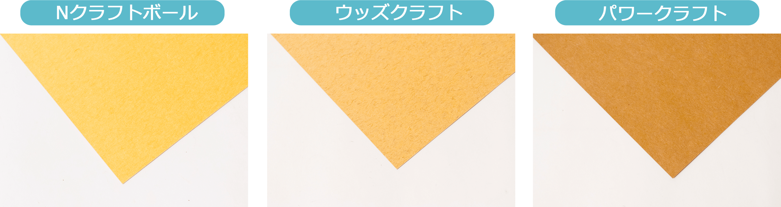 日めくりカレンダー オリジナルカレンダーの印刷 作成 製作なら ガップリ 日めくりカレンダー オリジナルカレンダーの印刷 作成 製作なら ガップリ