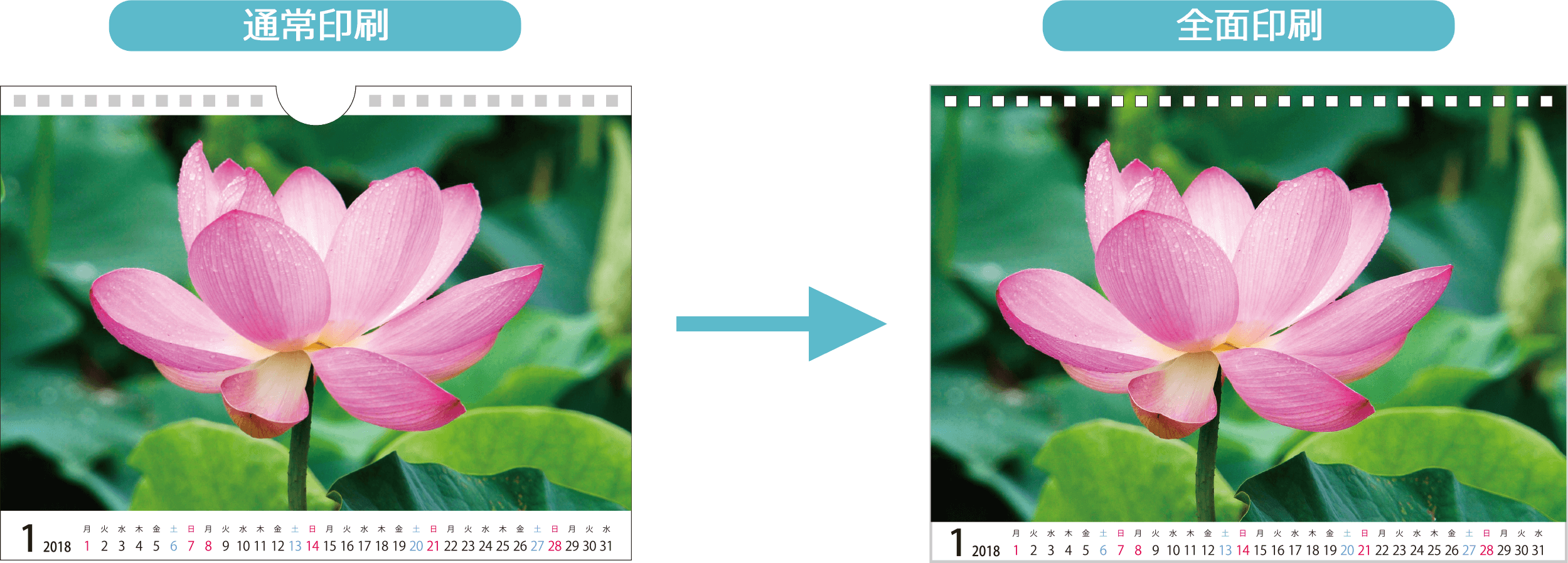 全面印刷 オリジナルカレンダーの印刷 作成 製作なら ガップリ