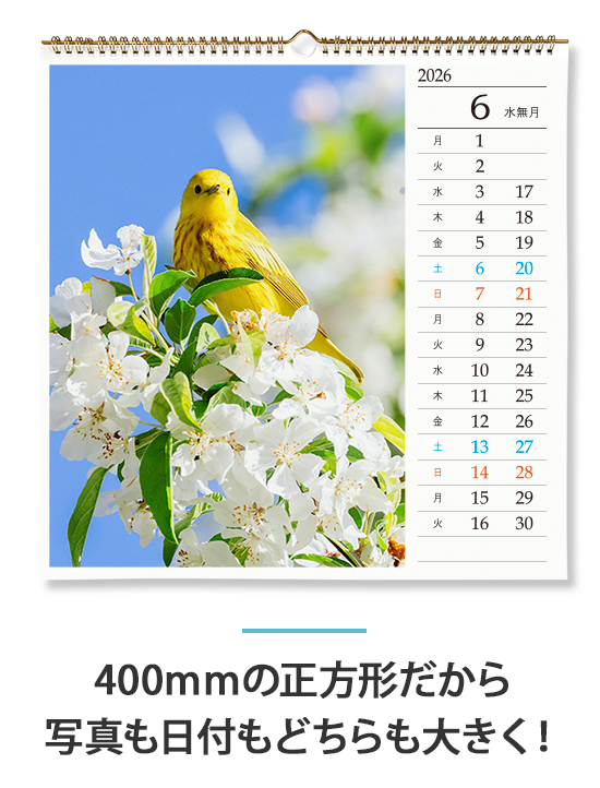 400ｍｍの正方形だから 写真も日付もどちらも大きく！