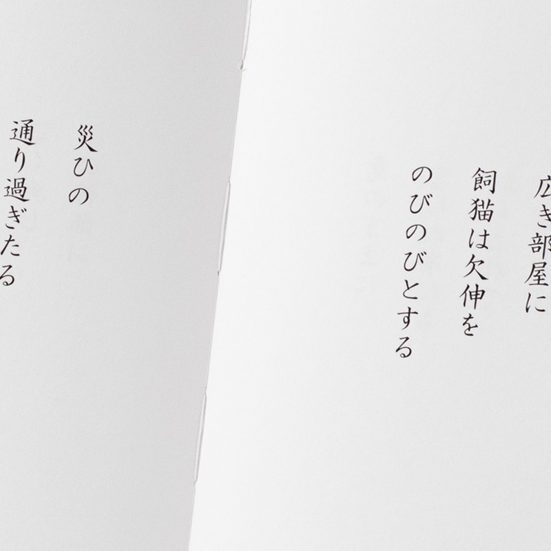 「山田 直美 様」製作の上製本/ハードカバー製本冊子 ギャラリー写真3