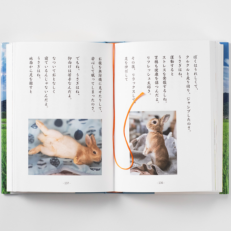 「佐田 令子 様」製作の上製本/ハードカバー製本冊子 ギャラリー写真1