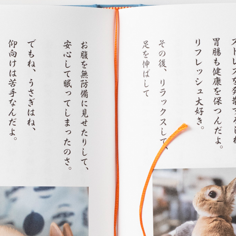 「佐田 令子 様」製作の上製本/ハードカバー製本冊子 ギャラリー写真2