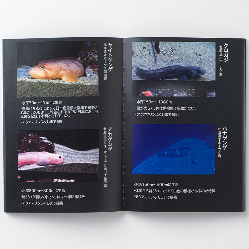 「不破 皓輝 様」製作のくるみ製本冊子 ギャラリー写真1