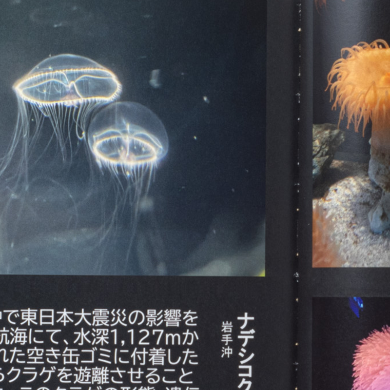 「不破 皓輝 様」製作のくるみ製本冊子 ギャラリー写真2
