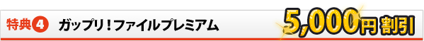 ガップリ！ファイルプレミアム　5,000円割引