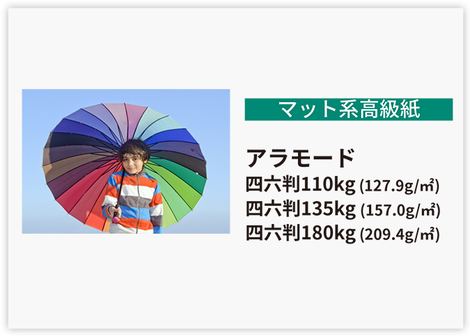 マット系高級紙アラモードホ