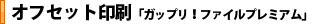 オフセット印刷「ガップリ！ファイルプレミアム」