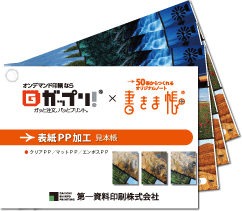 表紙PP加工見本帳