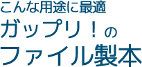 こんな用途に最適ガップリ！のファイル製本