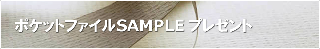 ポケットファイルSAMPLEプレゼント