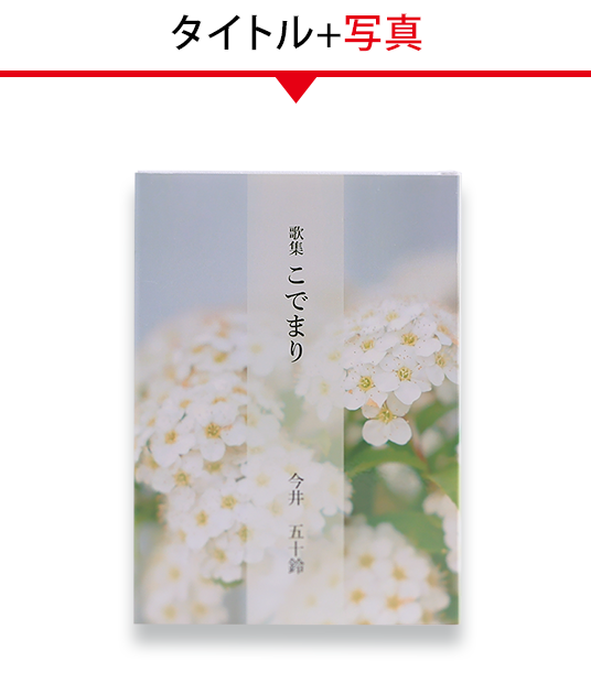 タイトルと写真