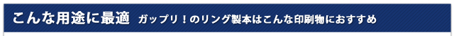 こんな用途に最適|ガップリ!のリング製本はこんな印刷物におすすめ