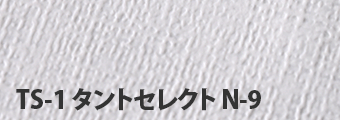 TS-1タントセレクト