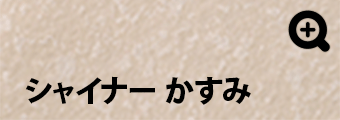 :シャイナー かすみ