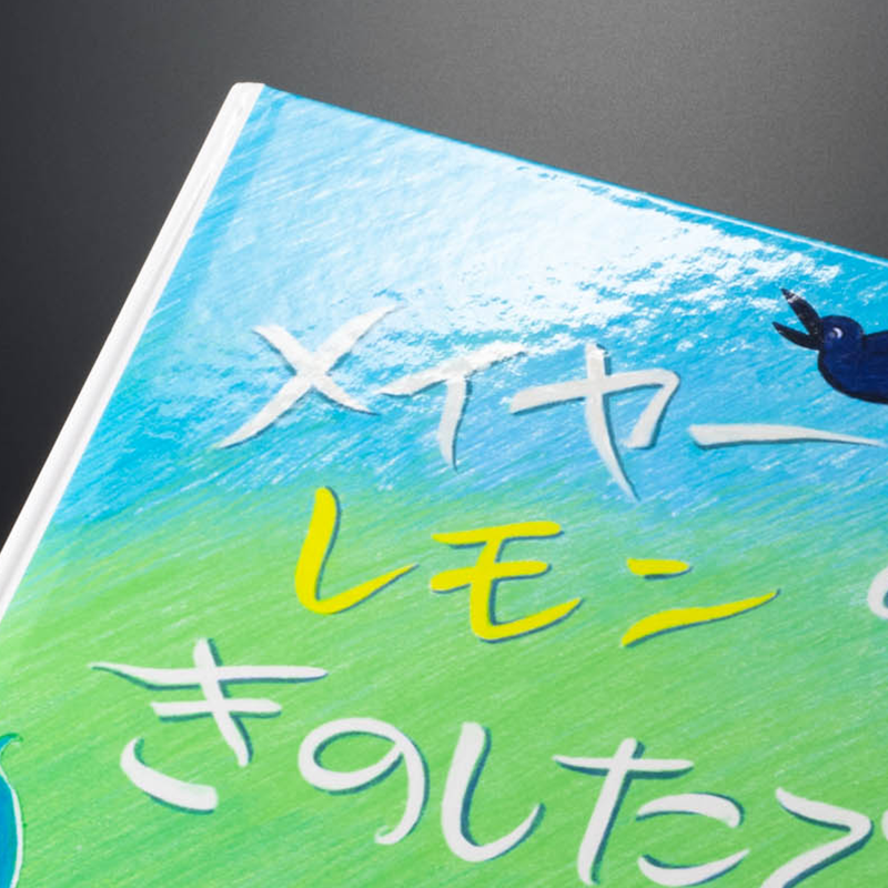 「Kikori鎌倉 ぎやごんRyuji 様」製作のオリジナル絵本 ギャラリー写真4