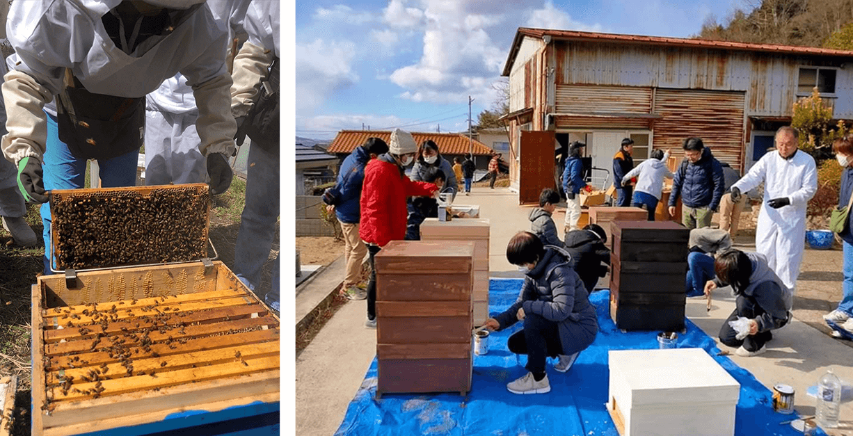 「さとのわ養蜂研究所」の養蜂スクールの様子。ミツバチオーナーになると、自分たちで巣箱を作り、採蜜や蜜蝋加工など、家族ぐるみでさまざまな体験ができます