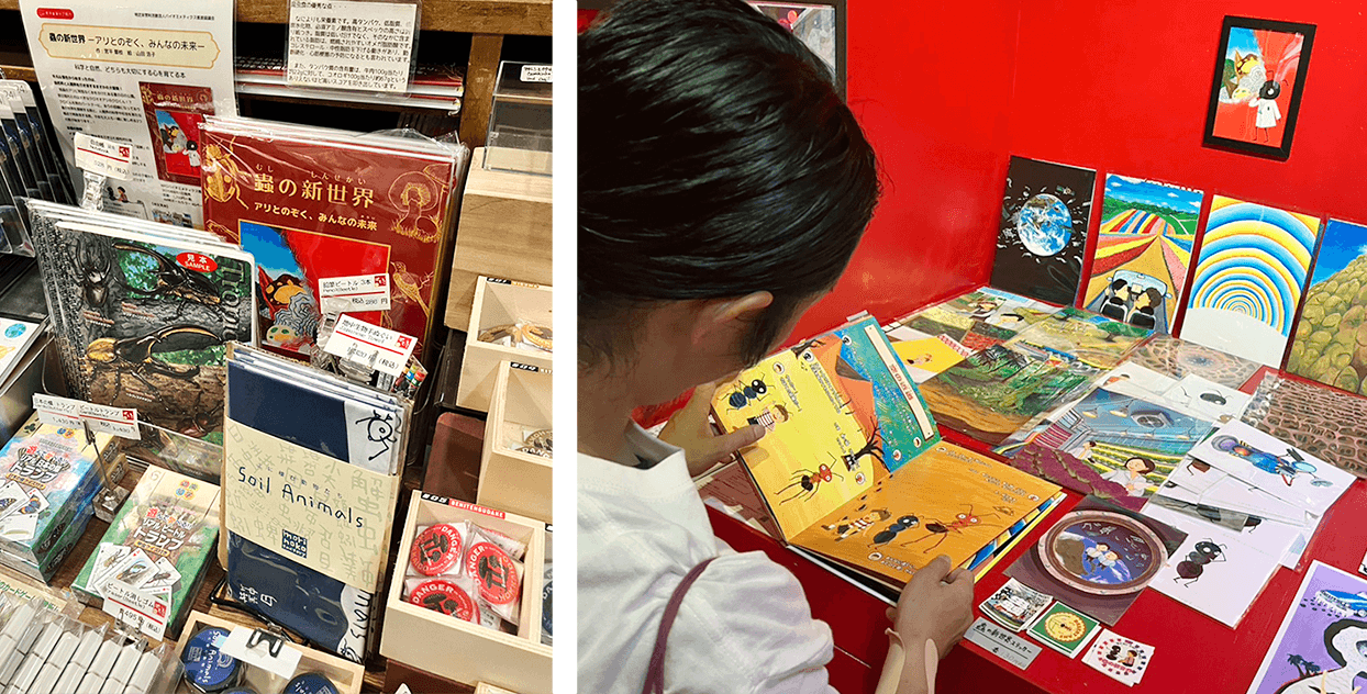 完成した絵本は北海道大学総合博物館で販売（左）、山田さんの個展でも展示や販売を実施（右）