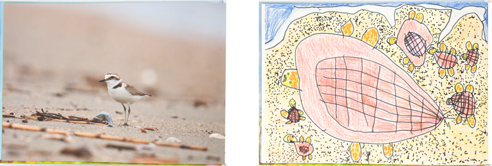 高校生の撮った写真と子どもたちの描いた絵