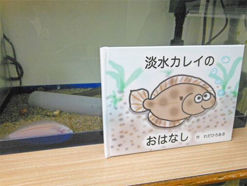水槽と一緒に絵本を飾っている様子