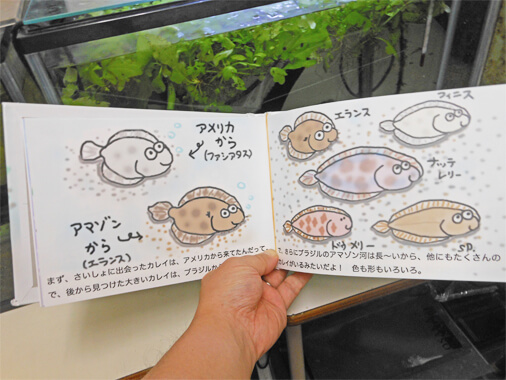 水槽を背景に絵本を読んでいる様子