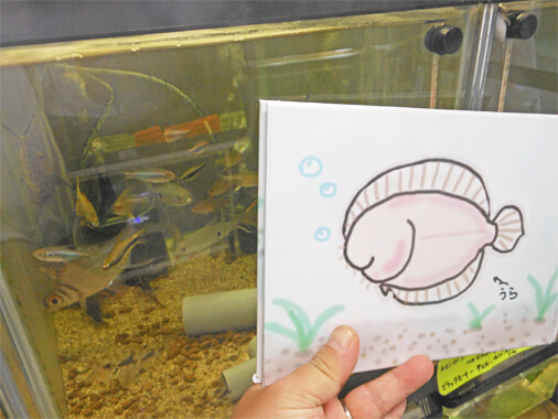 水槽を背景に絵本を読んでいる様子